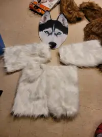 Beautiful husky costume