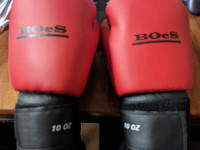 BOeS    10 oz  Boxing/ Training Gloves