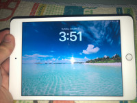 256GB iPad Mini 5th Gen 2019 A12 White/Silver MINT CONDITION