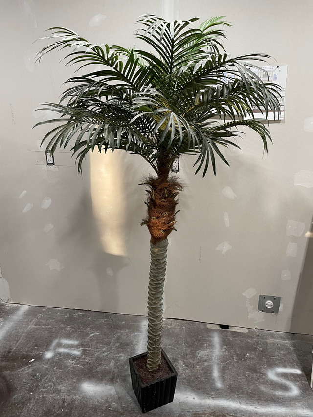 Artificial Palm Tree  in Home Décor & Accents in Leamington