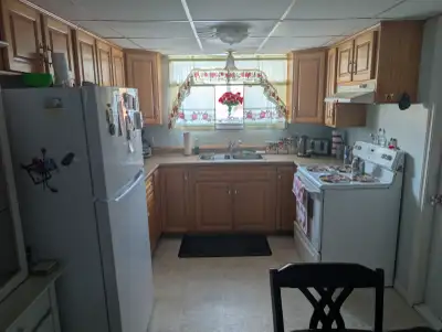 2 bedroom bright basement apartment with closet space. Private driveway & entrance. Half month rent...