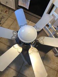 Kitchen light with a fan