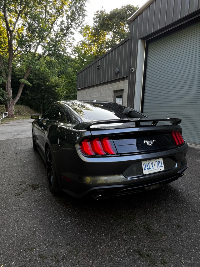 2019 Mustang in Cars & Trucks in Mississauga / Peel Region - Image 3