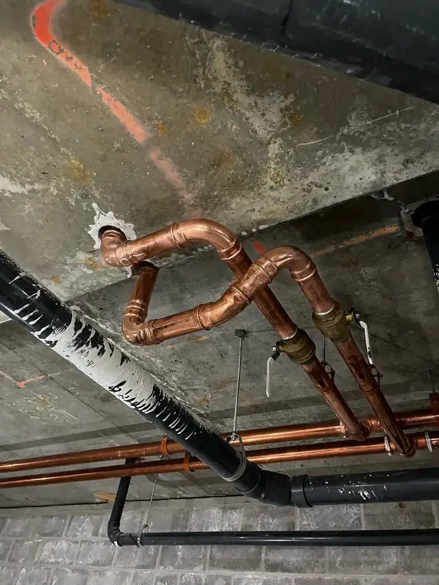 Licensed Plumbing Services426574198803671048