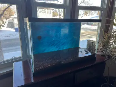 We’re selling our loved 30 gallon aquarium. It’s approx 4 years old. The gravel has been surface vac...