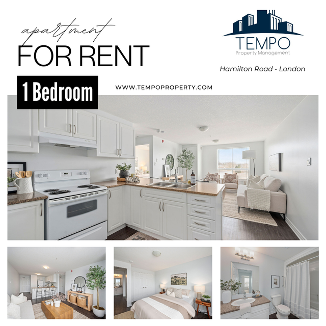 2nd Floor Affordable 1 BD unit/1166 Hamilton Rd London/Nov 1st