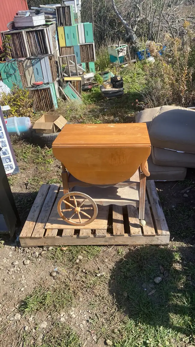 Drop Leaf Serving Cart