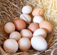 Farm fresh eggs to your door