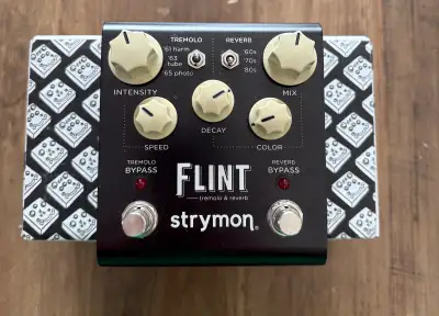 Strymon Flint V1, View more