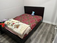 Room for rent near bovaird/Airport basement available from