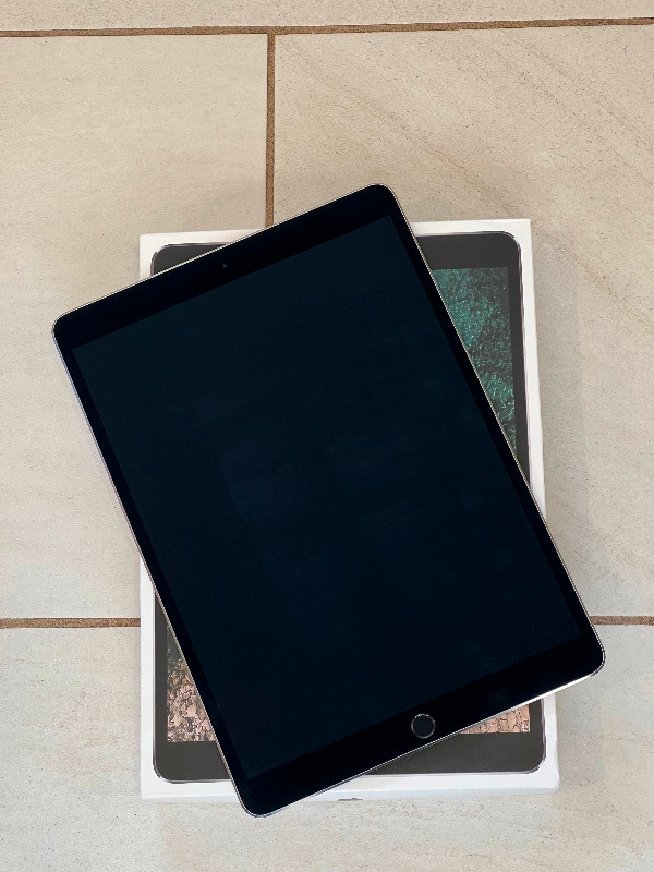 iPad Pro 10.5" 256 GB + Apple Pencil, great condition in iPads & Tablets in Thunder Bay - Image 2