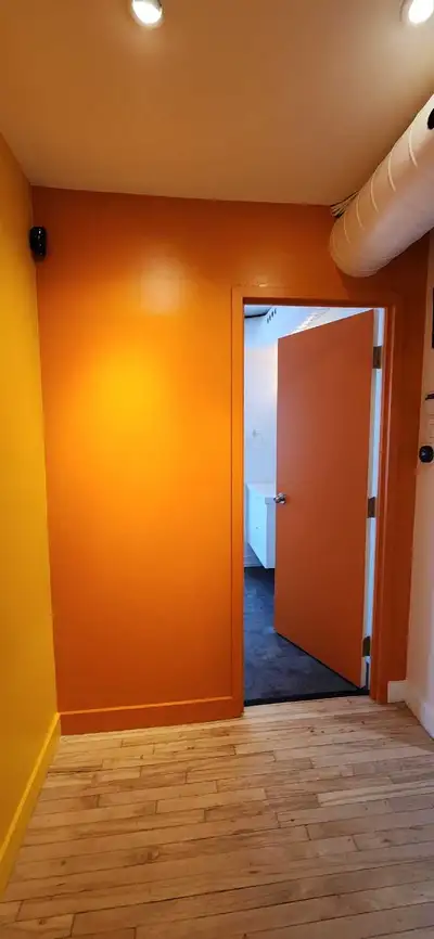 Professional Painting Toronto Painter, View more