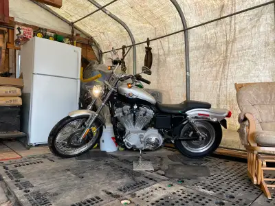 Great bike just no time to ride. Excellent condition