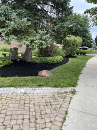 Landscaping/lawn care