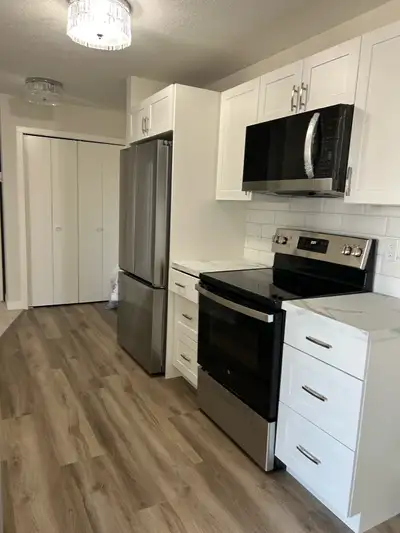 I am selling my beautifully renovated two-bedroom apartment. It features a modern kitchen with stain...