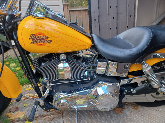 2000 harley 1300 in Street, Cruisers & Choppers in Brantford - Image 4