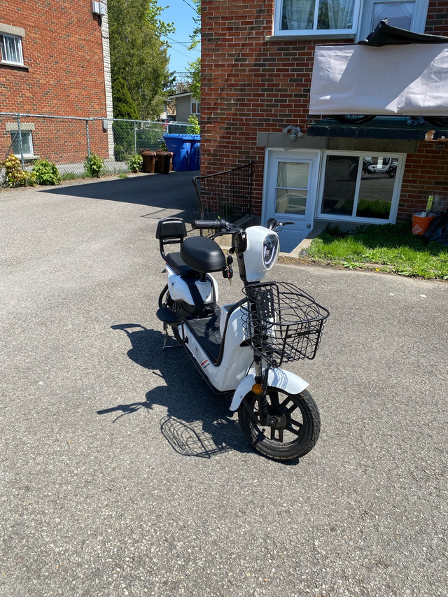 Scooter electric  dans Autre  à Longueuil/Rive Sud - Image 2