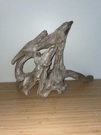  Real driftwood for sale