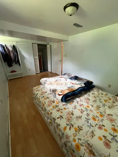 Private room for rent