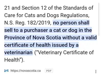 Please beware aware that it is ILLEGAL to sell kittens without a veterinarian health certificate. My...