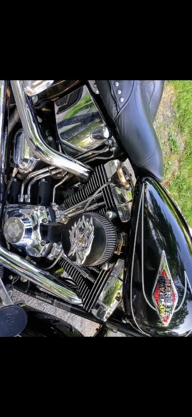 2009 Harley Davidson Heritage Softail in Street, Cruisers & Choppers in Ottawa - Image 6