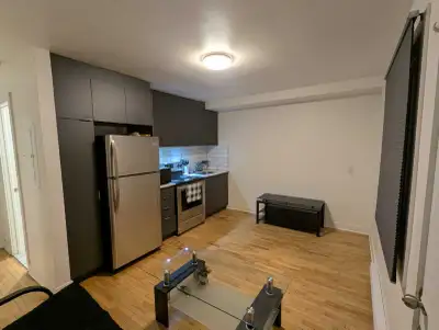 *Description en Français ci-dessous* For rent: a stunning, recently renovated 3 1/2 apartment locate...