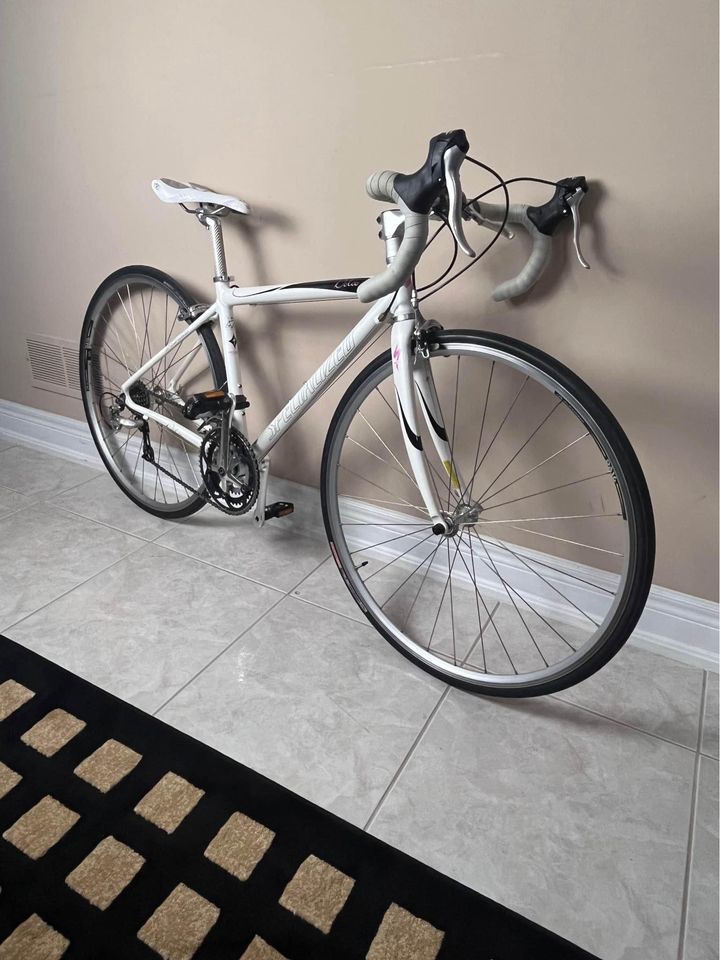 kijiji road bike