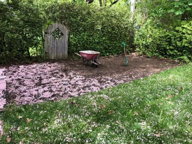 Fall Raking & Cleanup (Grade 11 Student)561546755446548481