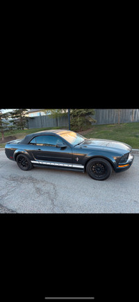 2008 Convertible Mustang