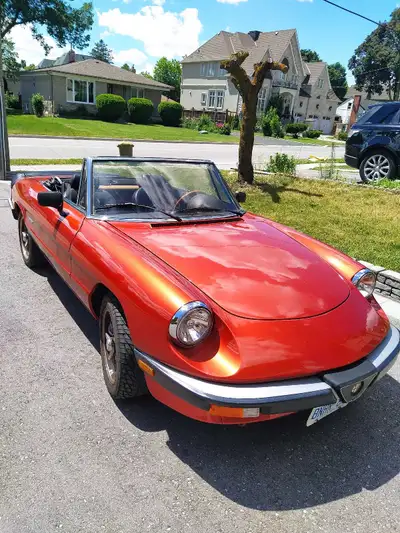 1986 ALFA ROMEO SPIDER CLASSIC CAR. IMMACULATE CONDITION. CAR TOTALLY RESTORED FROM TOP TO BOTTOM. s...