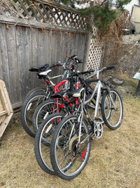 Bikes $100 for all and $35 for each