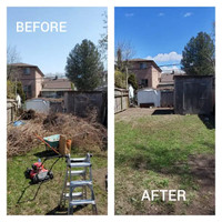 SPRING CLEAN UPS / YARD CLEAN UPS AND MUCH MORE