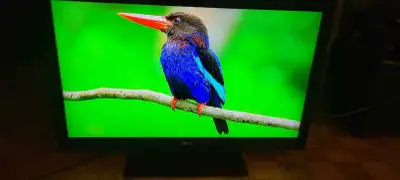 42" LG Television, View more