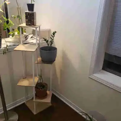 Stylish Shelf for plants,  books or any decorations, View more