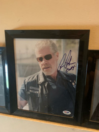 Autographed sons of anarchy pictures 