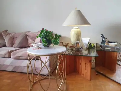 A Cozy, Furnished Room is available in a large 3 bedroom apartment downtown. Its a walking distance...