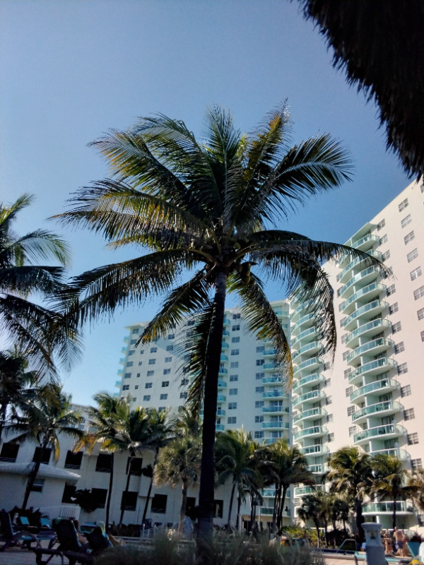 1 bedroom Oceanfront condo Hollywood Beach in Florida - Image 2