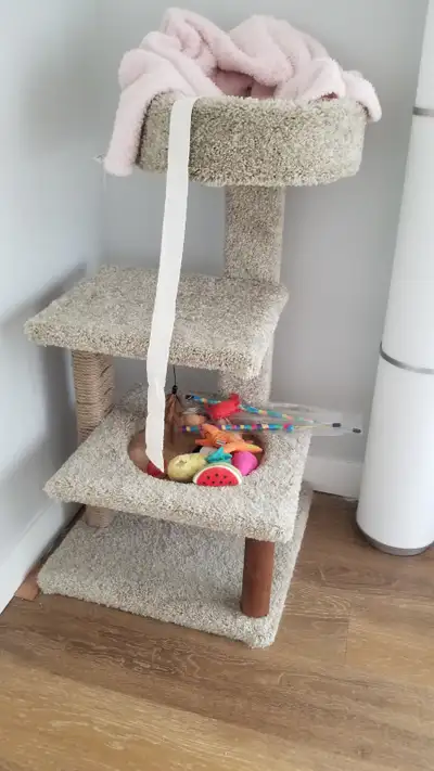 Cat Tree for Sale Cheap, View more