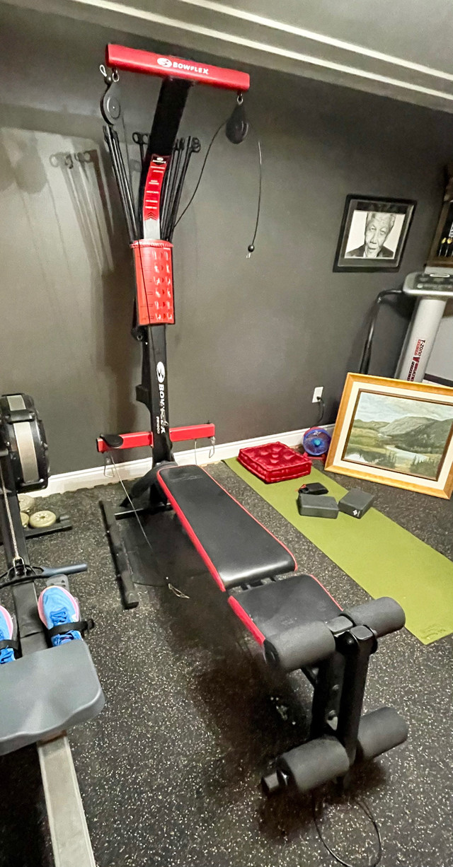 (Reduced $) NordicTrack Eliptical Machine & Bowflex in Exercise Equipment in Ottawa - Image 4