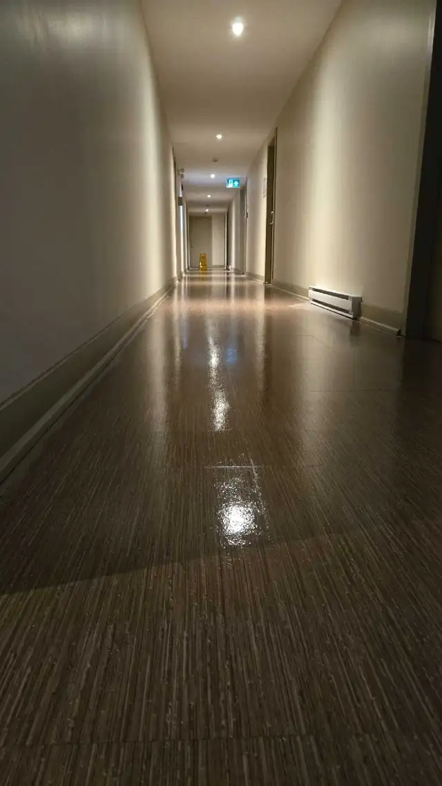 Housekeeping / Cleaning Lady64840201379458120