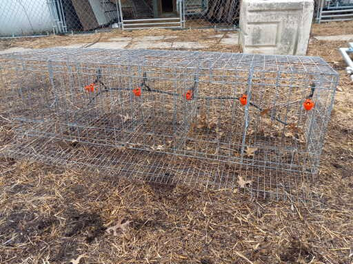 cage a poule dans Animaux de ferme  à Longueuil/Rive Sud