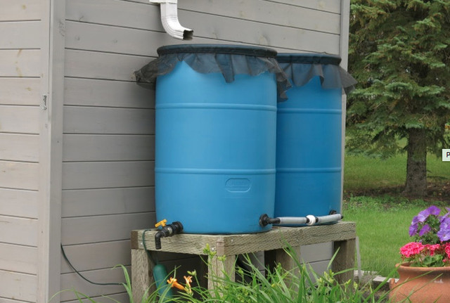 I need some rain barrels for my gardening hobby. I will pay cash in Hobbies & Crafts in St. Albert