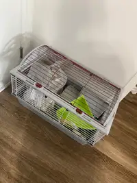 Cage lapin ou petit animal 