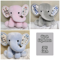 Birth Stat Elephants 