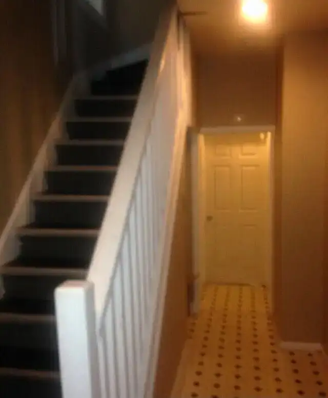 West End Room - EIA Welcome / walk to UofW & HSC in Room Rentals & Roommates in Winnipeg - Image 3