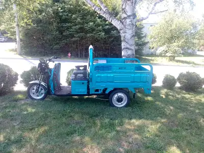 New 2025 Electric Trike/Truck seats 4, will carry about anything you want to put on the back. It tra...