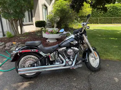 Excellent condition Fatboy. Factory alarm. 6 speed, 96 ci. Very low km. Original condition except Va...