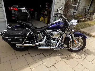 Custom 2001 Harley Davidson Heritage Softail 1450cc EFI - Custom shadow flame paint - Tons of chrome...