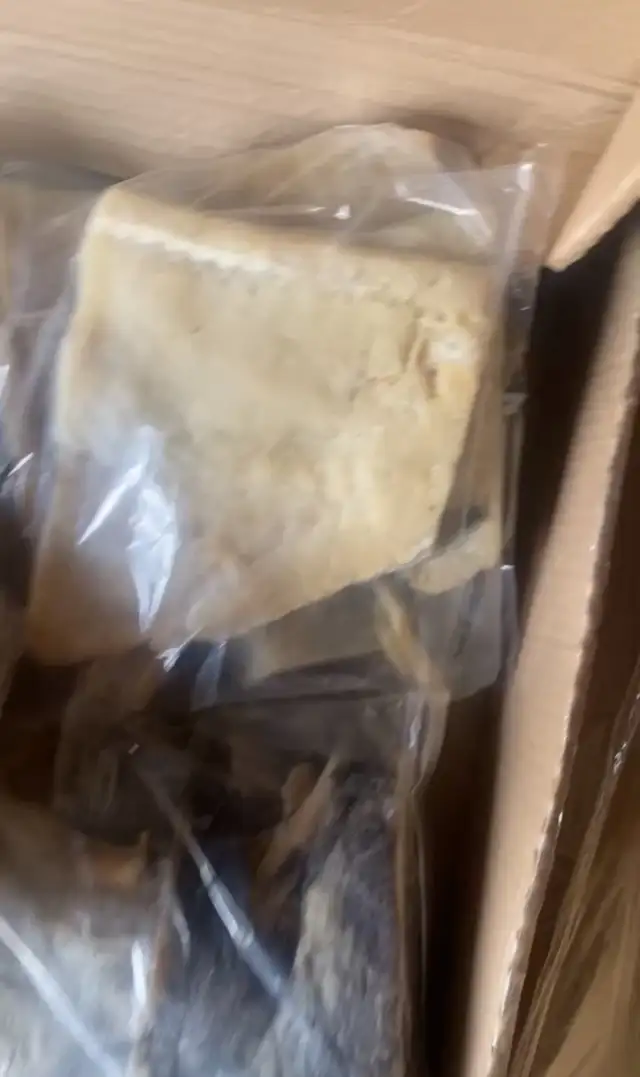 fresh Atlantic salt cod!!64750352991361121