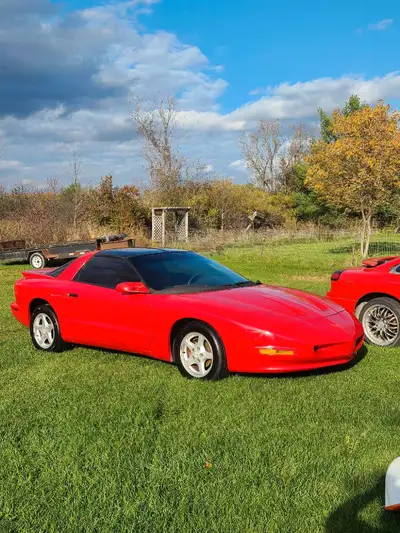 1993 formula firebird with lt1 v8 and 700r4 transmission 195 000km. The formula firebird in this yea...